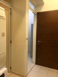 The Suites At Central (D9), Condominium #589733331